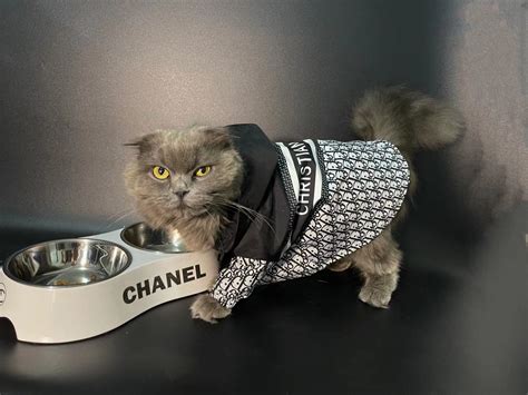 dior dog photo|christian dior dog clothes.